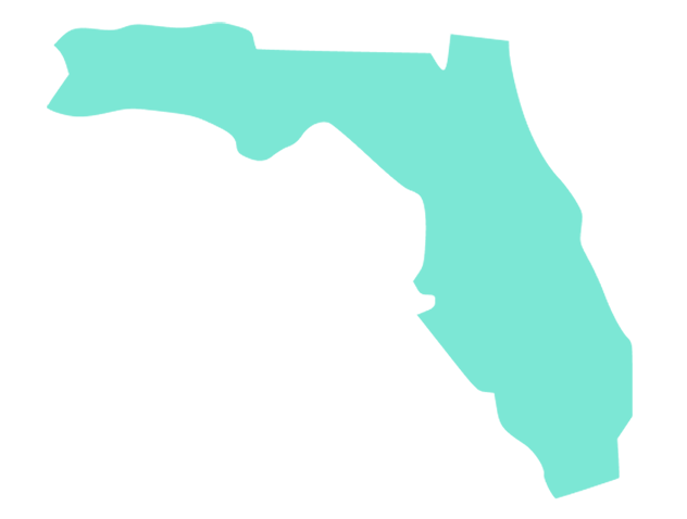 Croquis del sur de la Florida